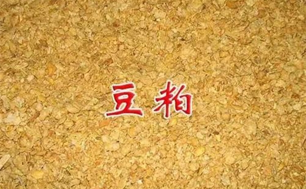 豆粕進口清關一般貿(mào)易進口流程以及所需單證資料