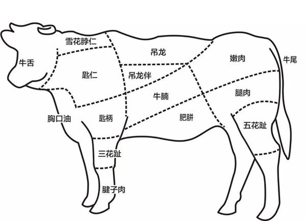 冷凍牛肉進口報關(guān)需注意的操作細(xì)節(jié)